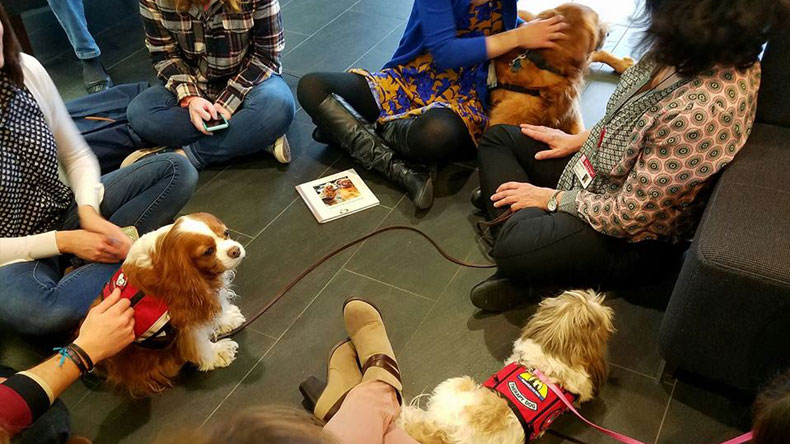 Community Time: Dog Therapy