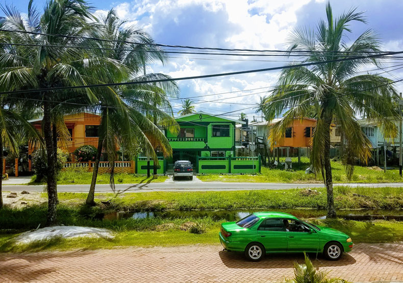 Local color: green house and green car