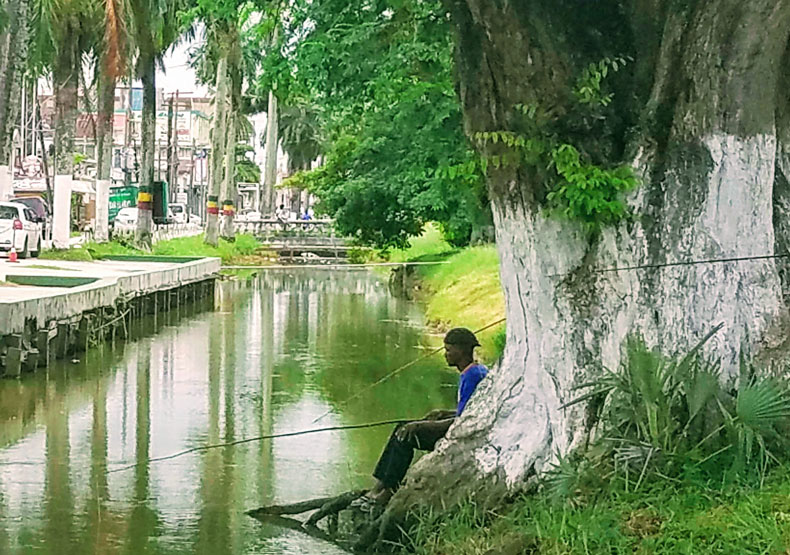 Local color: man fishing