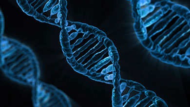 DNA String Image