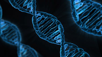 DNA String Image