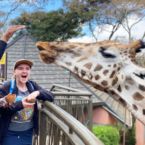 woman laughing feeding giraffe