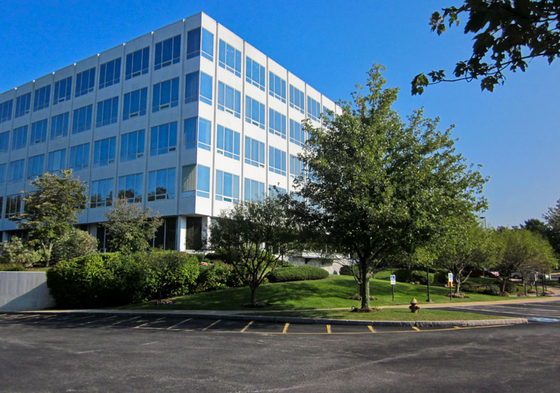 photo of tall building with tree in front