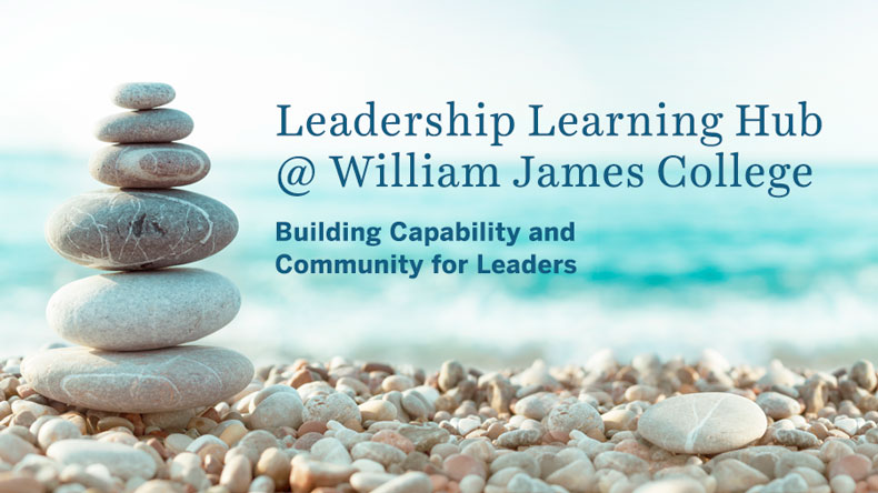 Leadership Learning Hub Builds Capability & Community