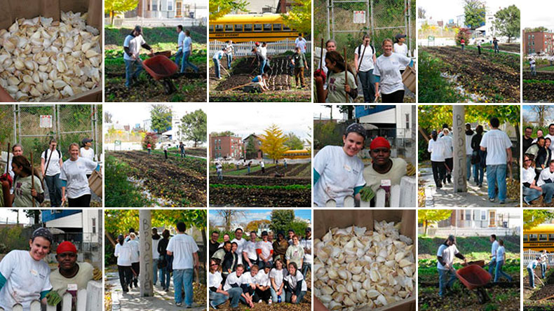 William James College Staff and Students Spend a Saturday at “The Food Project”