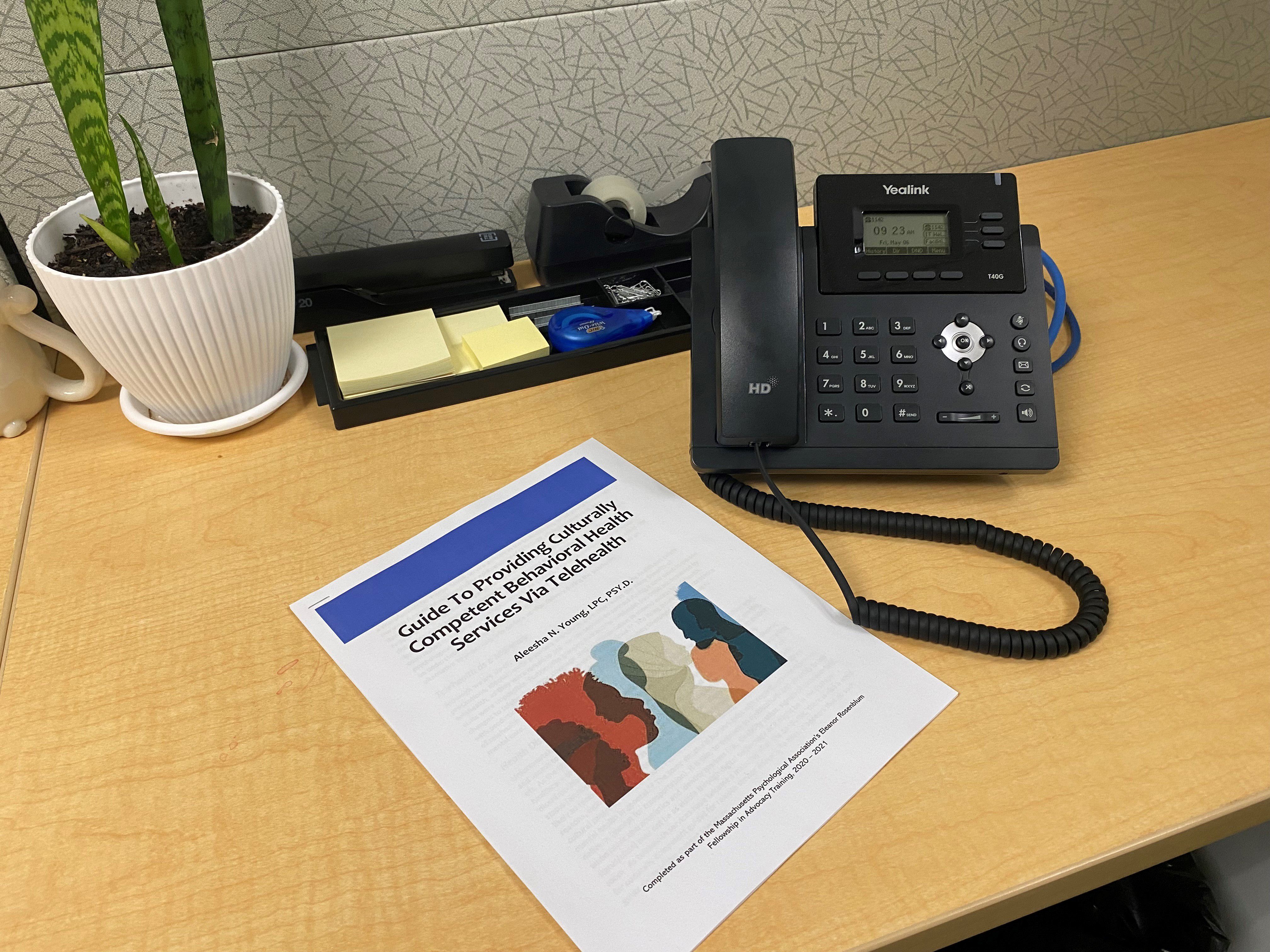 Staff Member, Former Post-Doc, Dr. Aleesha Young Develops Influential Guide on Cultural Responsiveness in Telehealth